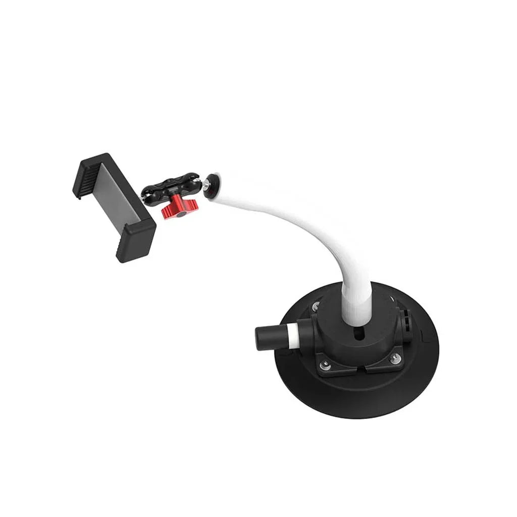 Phone Holder - Tree Frog - Cobbled Climbs