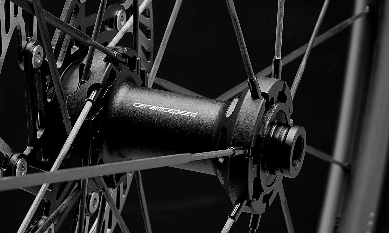 Raw 44 DISC Brake Wheelset - Fast Forward - Cobbled Climbs