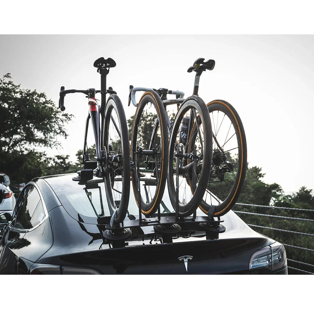 L2 FRONT WHEEL HOLDER - Tree Frog - Cobbled Climbs