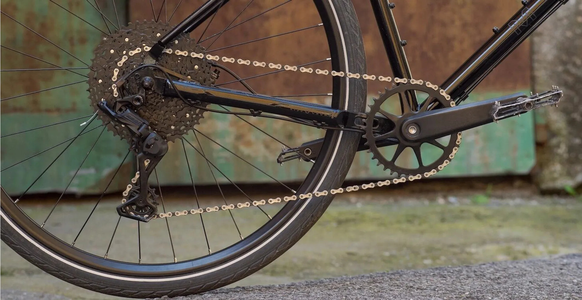 Muirwoods | Marin | Cobbled Climbs – view 4