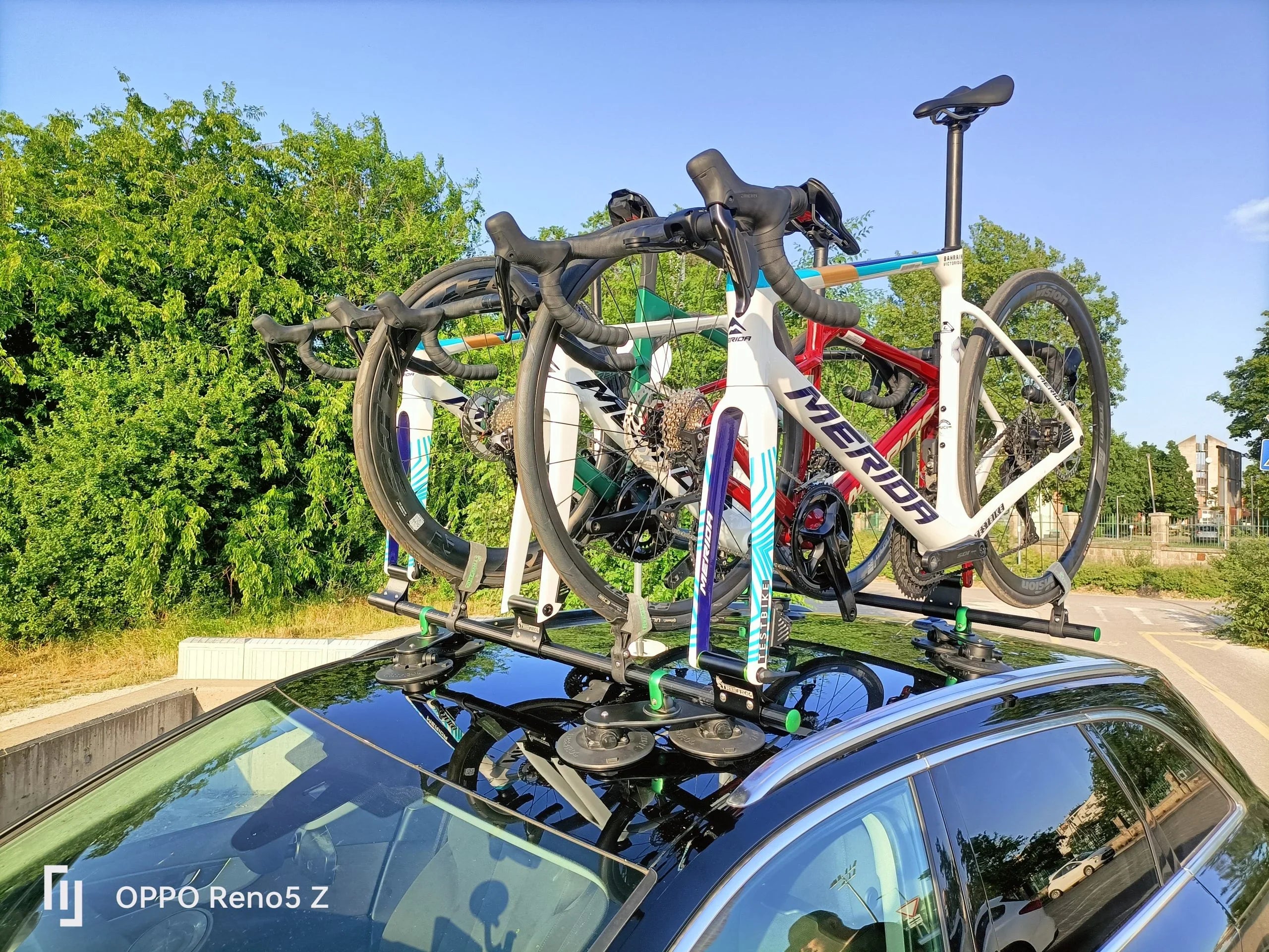 ROUNDBAR BIKE RACK (5 ROAD/GRAVEL BIKES) - Tree Frog - Cobbled Climbs