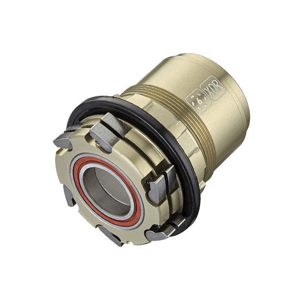 Bx312 12x142mm DISC Brake Rear Hub - Bitex - Cobbled Climbs