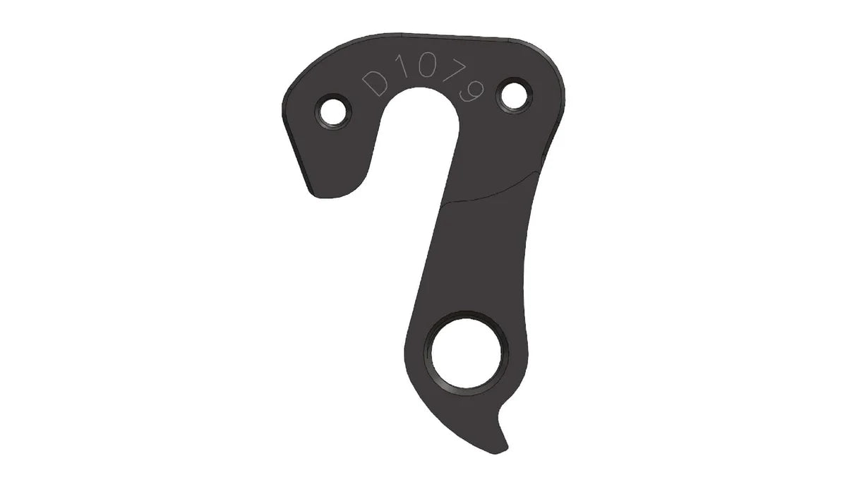Derailleur Hanger for XDS