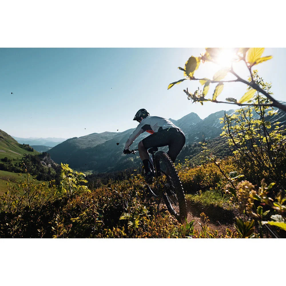 IN DUST WE TRUST SOCKS - Northwave - Cobbled Climbs