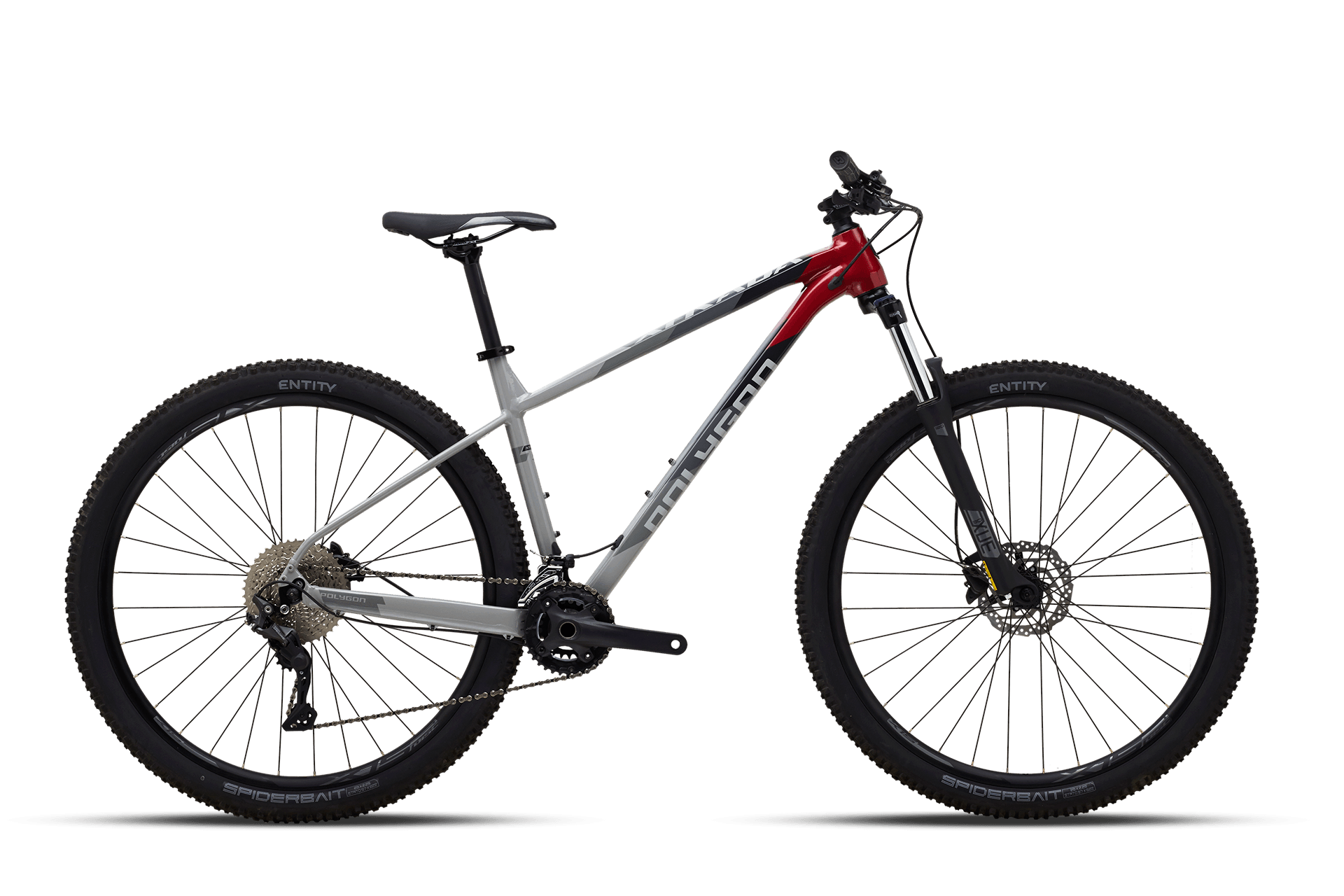 XTRADA from Polygon Cobbled Climbs