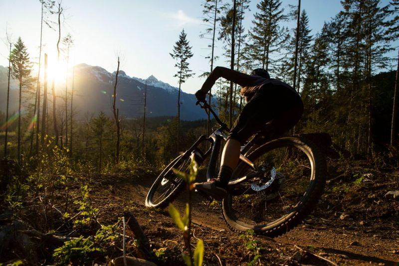 DEORE SL-M6100 12 SPEED SHIFT LEVER - Shimano - Cobbled Climbs