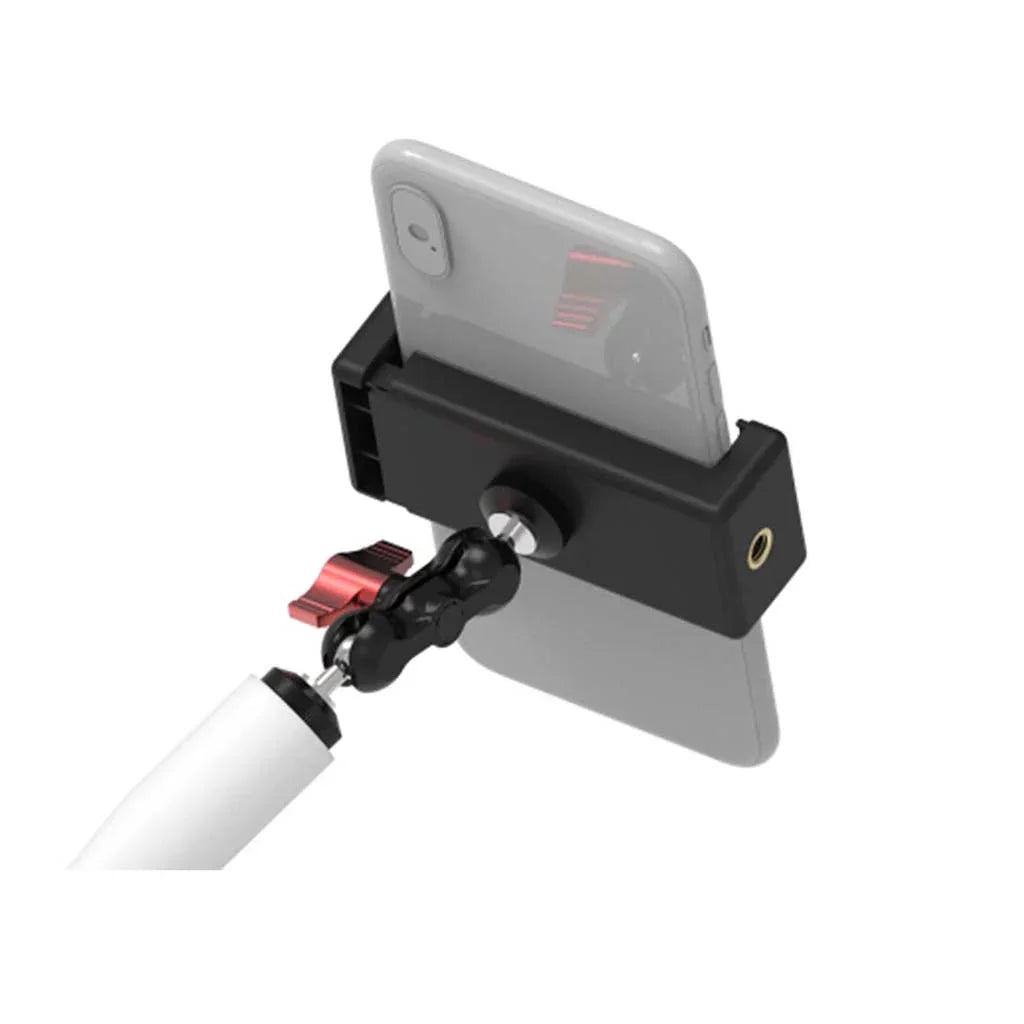 Phone Holder - Tree Frog - Cobbled Climbs