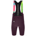 UNICO MENS CYCLING BIBSHORTS - Cobbled Climbs