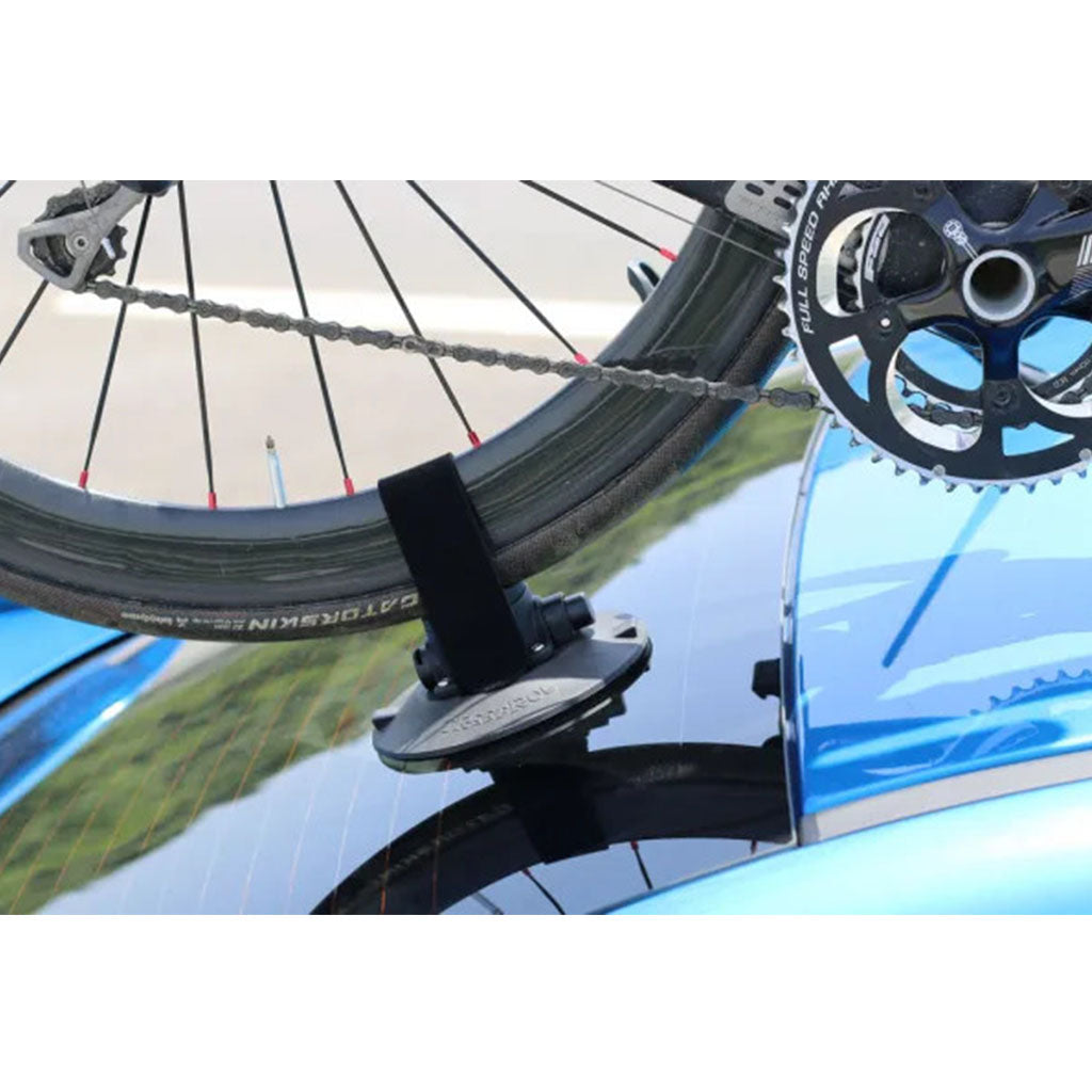 Elite Rear Wheel Holder - Tree Frog - Cobbled Climbs