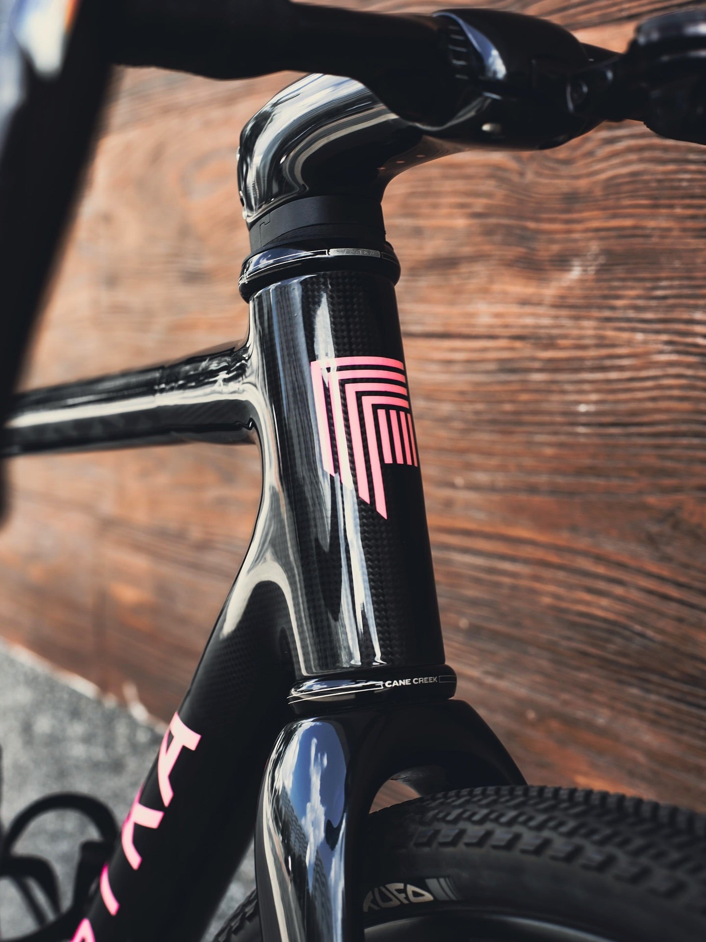 Shop Festka Custom Bikes India