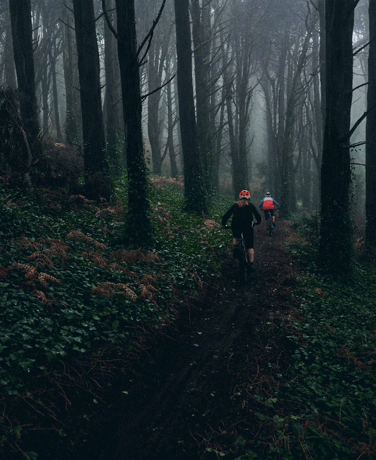 CRAVE CLARITY SPORT SUNGLASSES – POC premium cycling Eye Wear in India from Cobbled Climbs