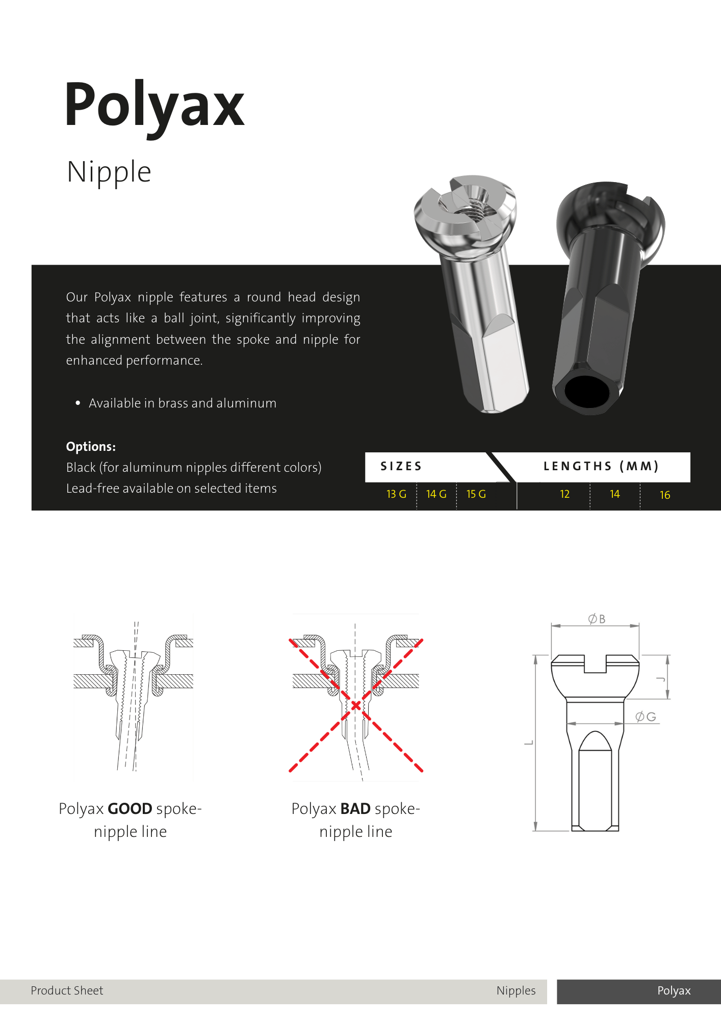 Polyax Brass 14G Nipple | Sapim | Cobbled Climbs – view 3