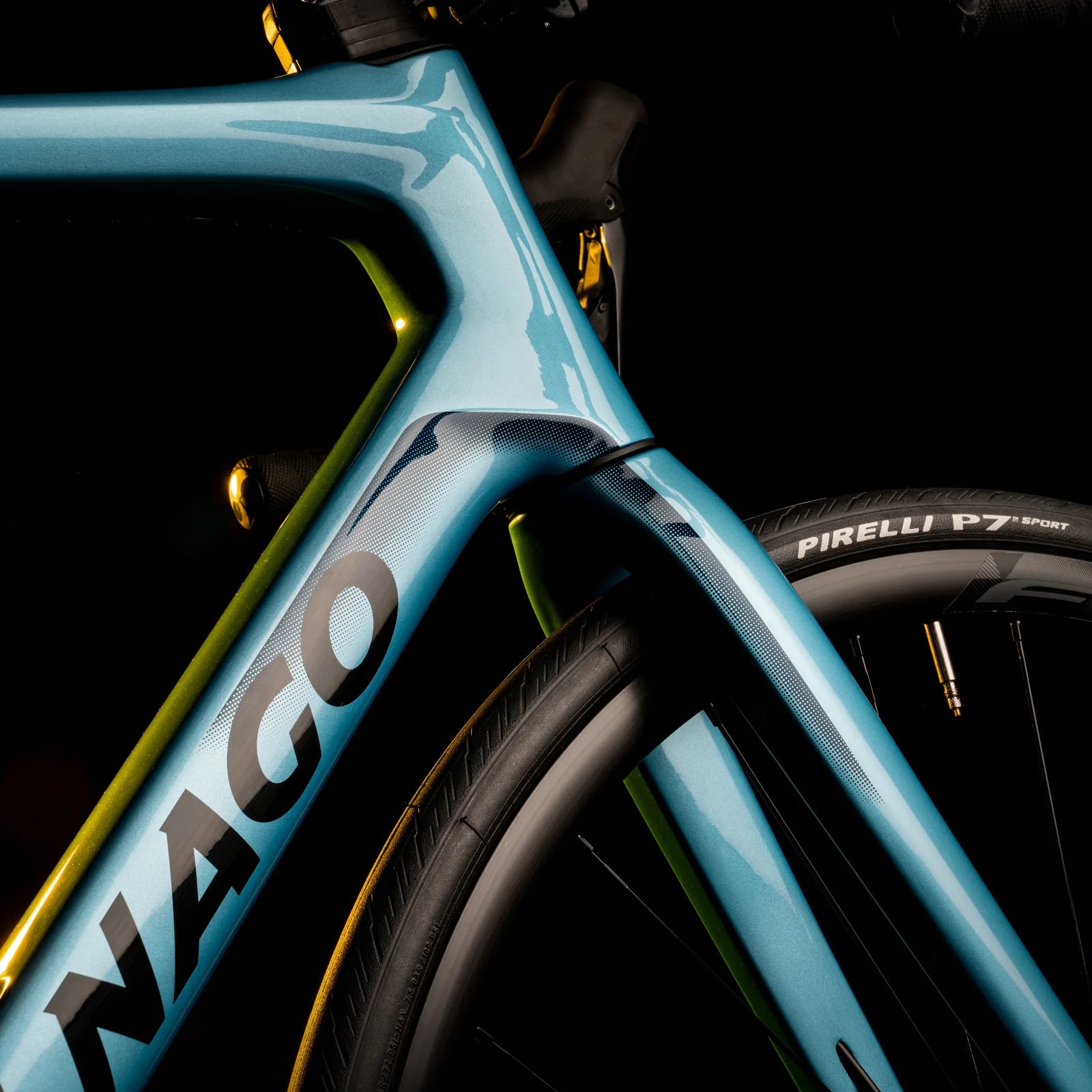 V4 Frameset | Colnago | Cobbled Climbs – view 13