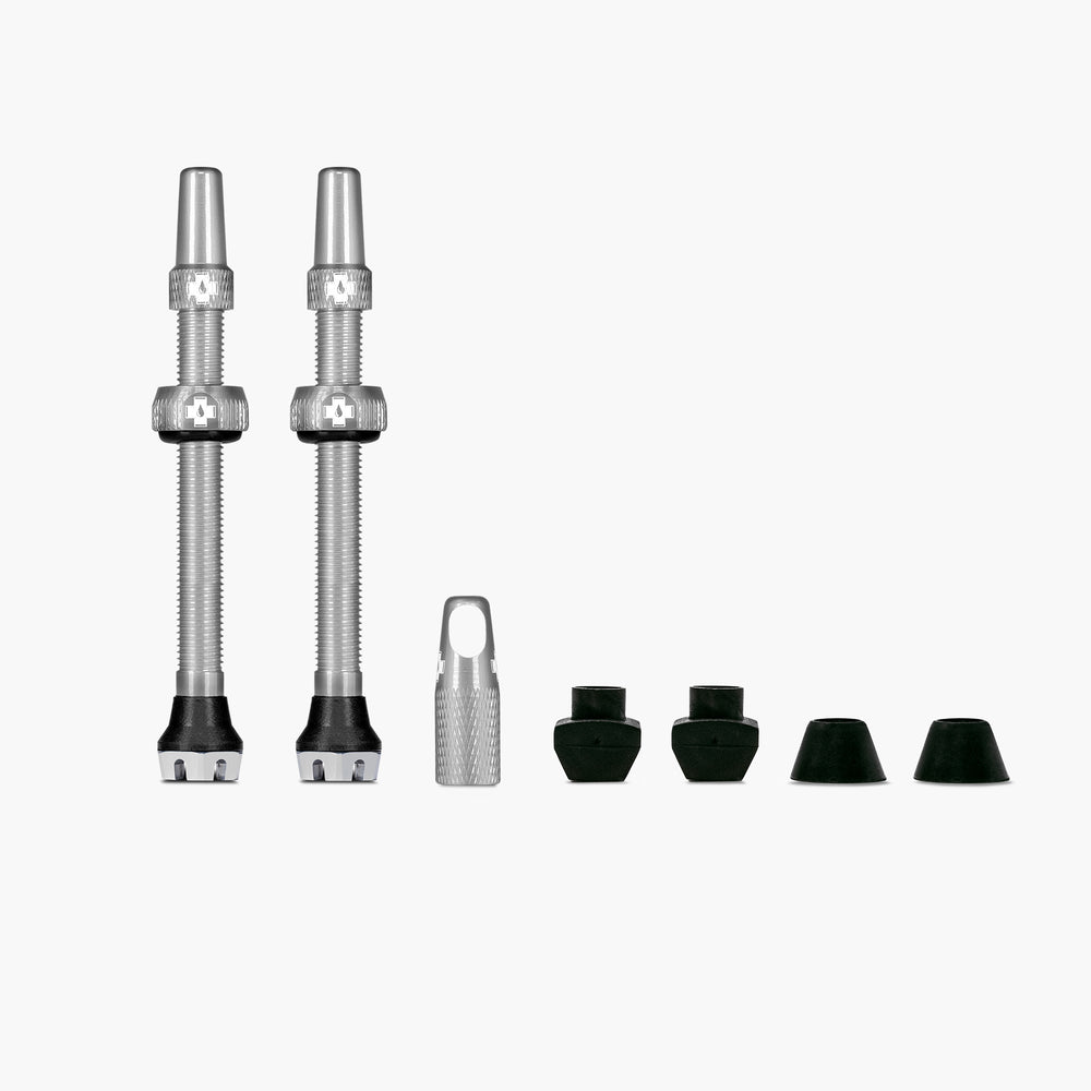 TUBELESS VALVE KIT