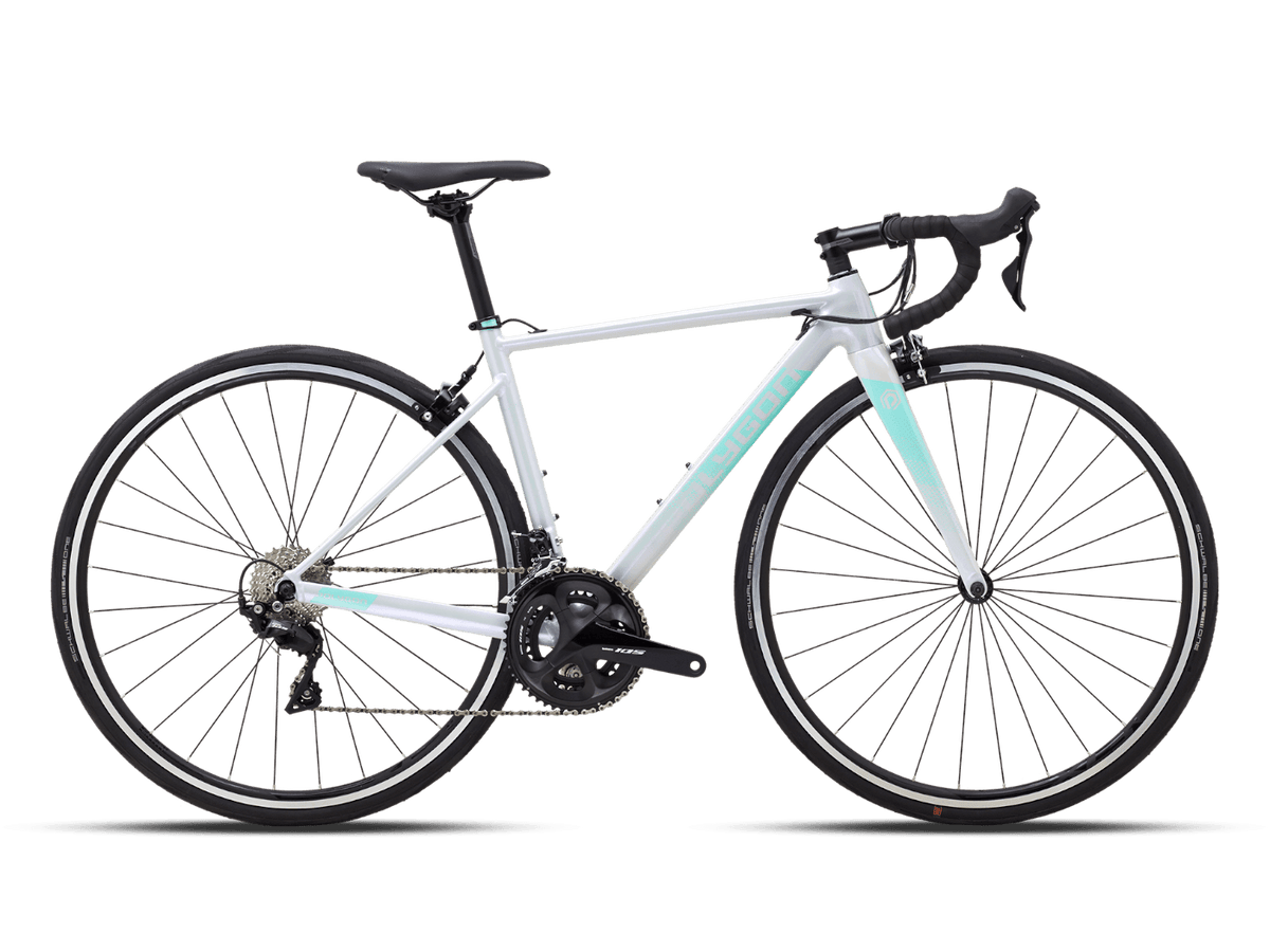 Buy Strattos S5 105 Rim Road Bike by Polygon Cobbled Climbs