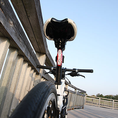 VIZ300 TL-LD810 REAR LIGHT – Cateye premium cycling Rear Lights in India from Cobbled Climbs